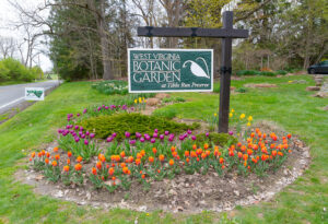 Botanic garden holds auction online